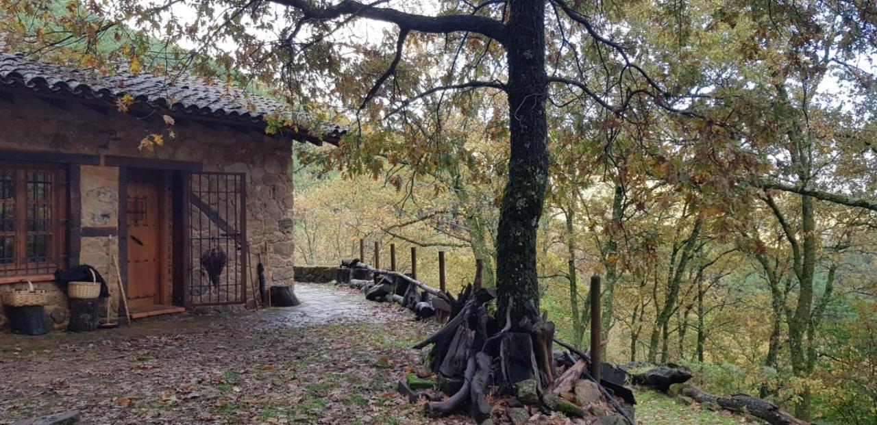 Cabana Castanarejo Candeleda Exterior foto